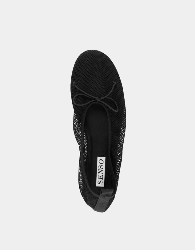 Senso - Carter
