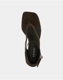 Senso - Palmer