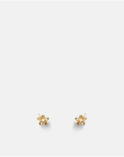 MIMCO - Asteria Stud Earrings