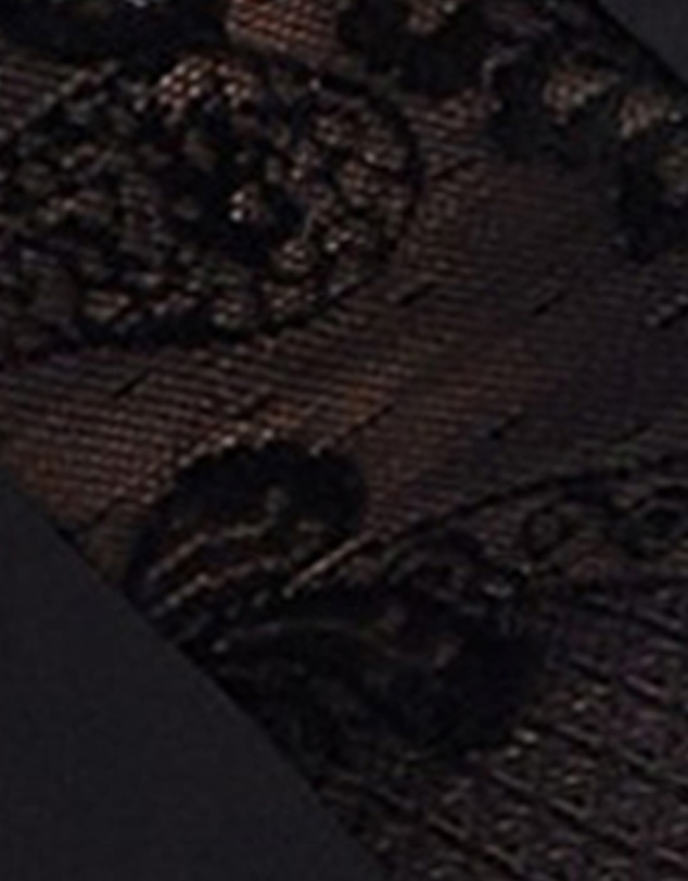 Sans Complexe - Perfect Shape Microfiber & Lace Brief