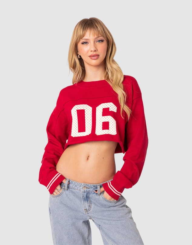 EDIKTED - Varsity Cropped Sweater