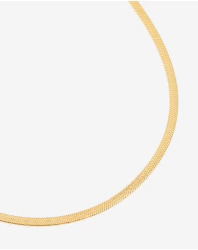 Lovisa - Waterproof Gold Plated Stainless Steel Fine Flat Snake Chain Necklace