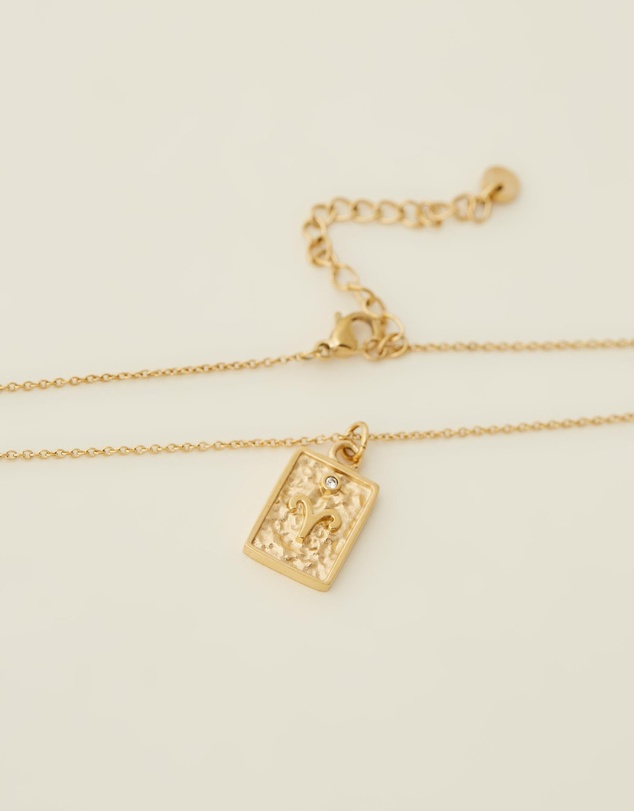 Carly Paiker - Aries Star Sign Zodiac Tag Necklace