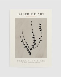 Olive et Oriel - Fleur D'Encre III