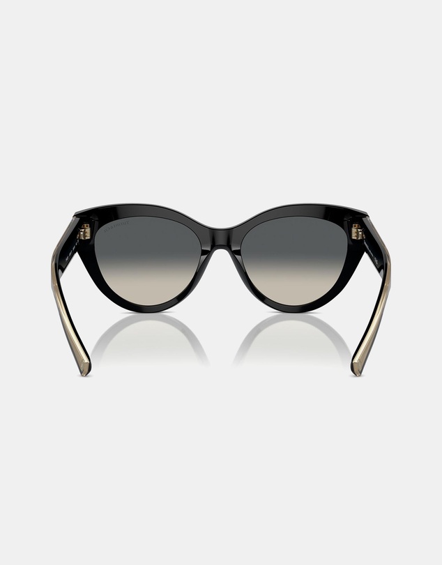 Tiffany & Co. - 0TF4220