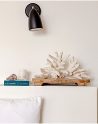 Palm Beach Collection - Clove & Sandalwood Mini Candle & Diffuser Gift Pack