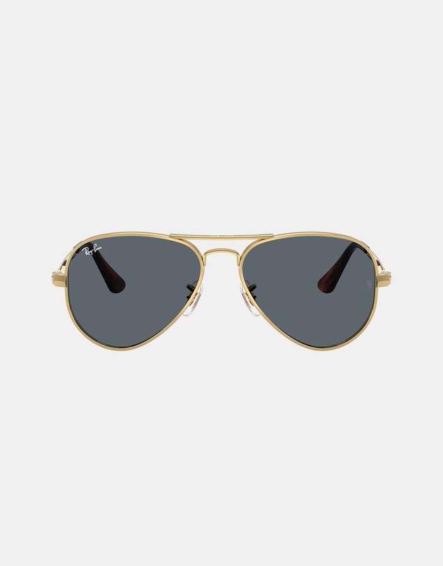 Ray-Ban - Aviator Max