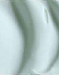 KORA Organics - Active Algae Lightweight Moisturizer 50ml