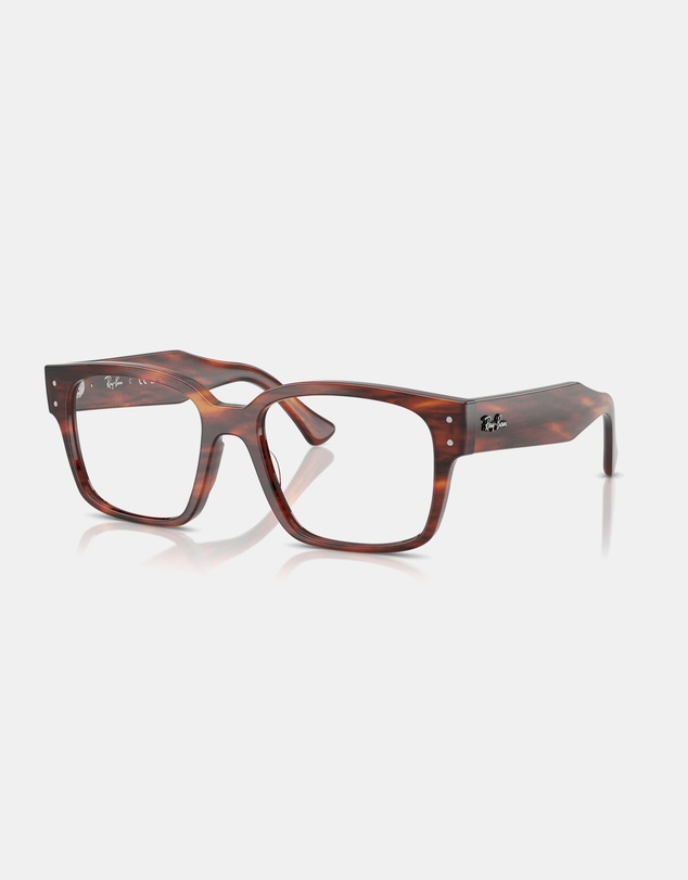 Ray-Ban Optical - Evolution