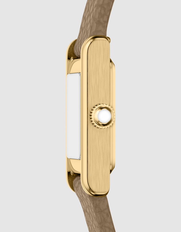 Emporio Armani - Brown Analogue Watch