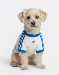 adidas Originals - adidas Pet Cali Tee