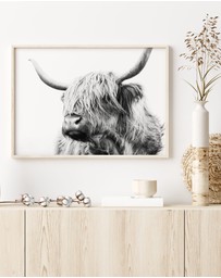Olive et Oriel - Highland Cow Closeup Art Print
