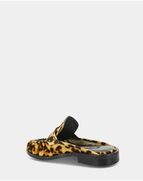 Senso - Charlotte IV