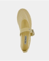 Senso - Carina