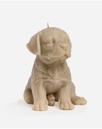 Love Ally - Labrador Candle