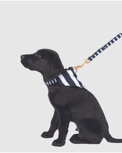 Mog & Bone - Neoprene Lead - Navy Hamptons Stripe Print