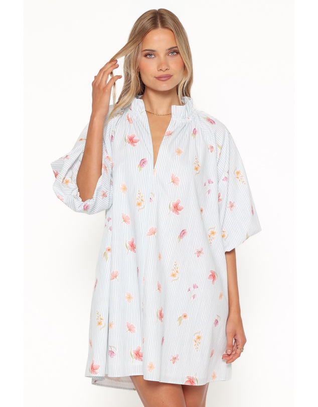 Petal & Pup - Doran Mini Dress - Blue Garden Stripe