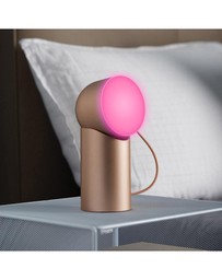 Lexon - Lexon Orbe Portable Led Lamp With Moving Head - Gold