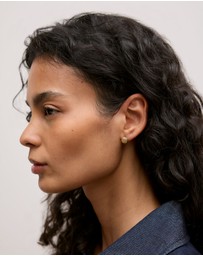 Trenery - Rava Stud Earrings in Gold