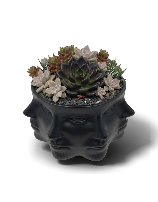 Urban Attitude - Urban Attitude Face Planter - Matte Black