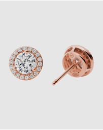 Michael Kors - Premium Rose Gold-Tone Earring