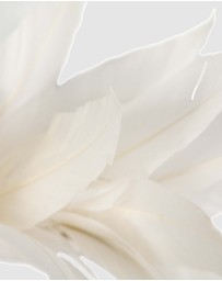Max Alexander - Modern Cream Racing Fascinator