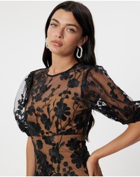 Honey and Beau - Enchanted Garden Dress