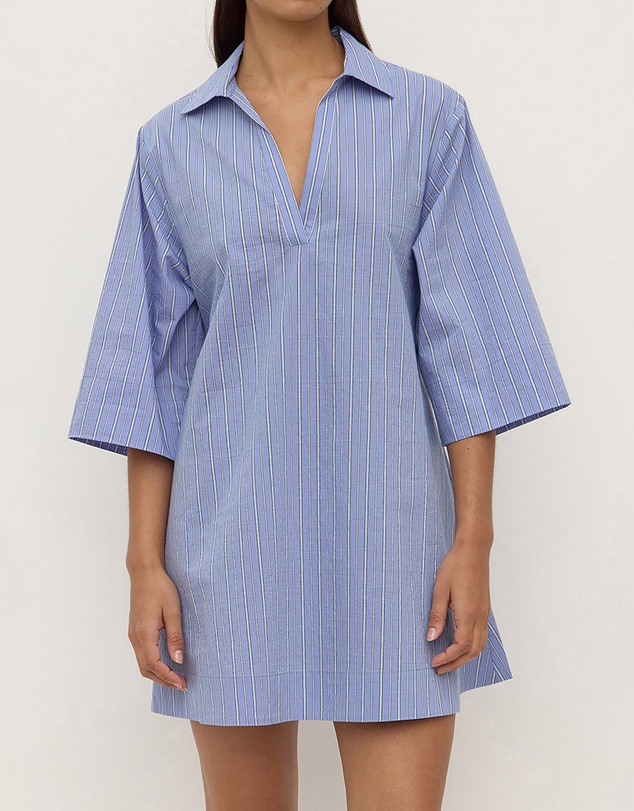 Assembly Label - Erina Stripe Mini Shirt Dress