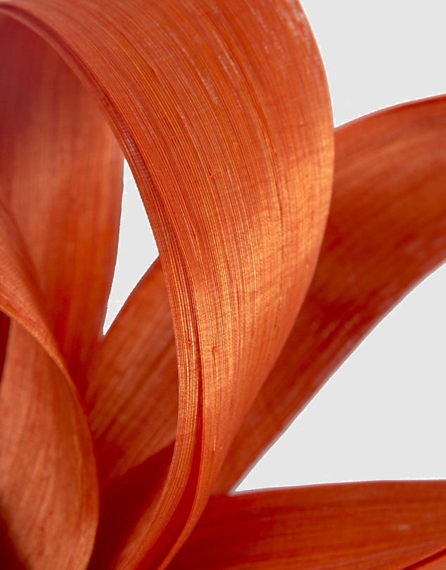 Fillies Collection - Orange Silk Abaca Loops Racing Fascinator
