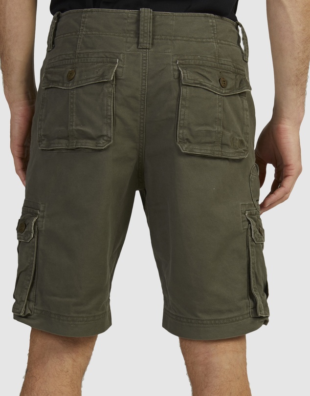 Element - Source Cargo Shorts