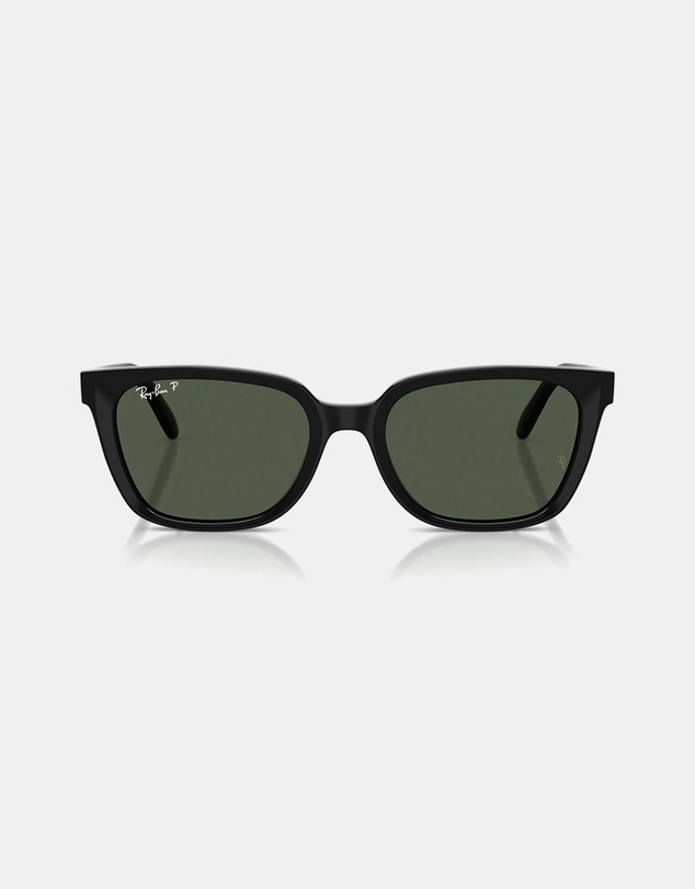 Ray-Ban - 0RB2243D