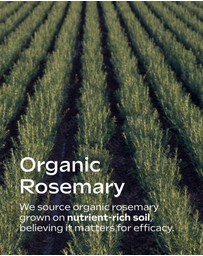 Weleda - Rosemary Shampoo, 250ml