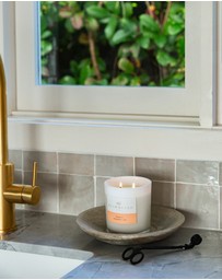 Palm Beach Collection - Watermelon Scented Candle 420g