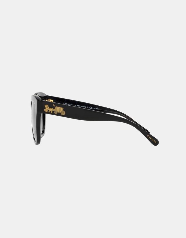 Coach - 0HC8264 L1083 Polarised