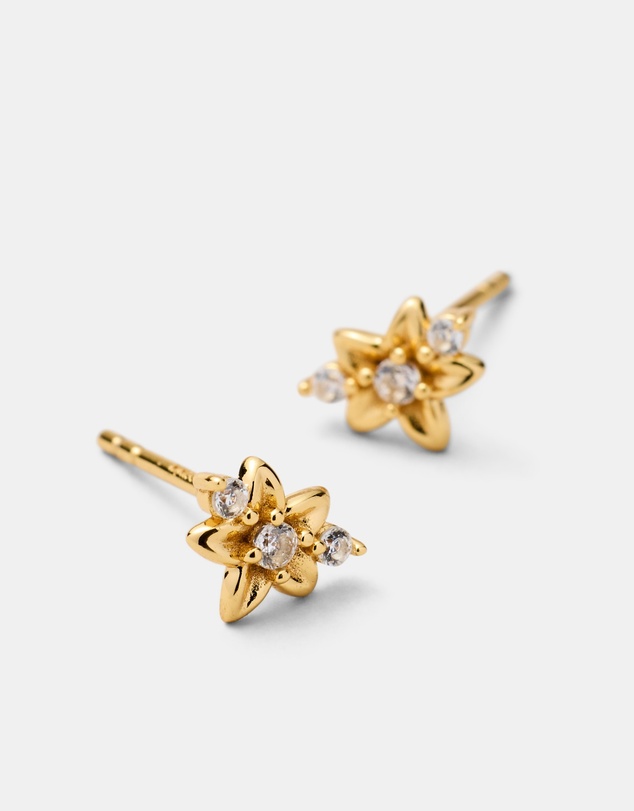 MIMCO - Asteria Stud Earrings