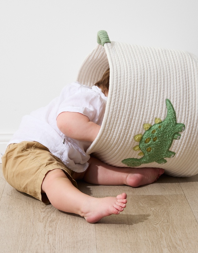 Living Textiles - Cotton Rope Embroidered Hampers - Dinosaur