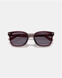 Ray-Ban - RB4461D