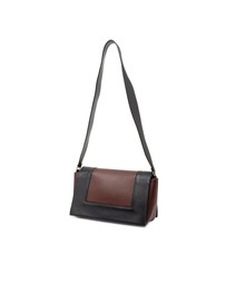 Pre-Loved by Azura Reborn - Pre-Loved Medium Shiny Smooth Calfskin Frame Shoulder Bag