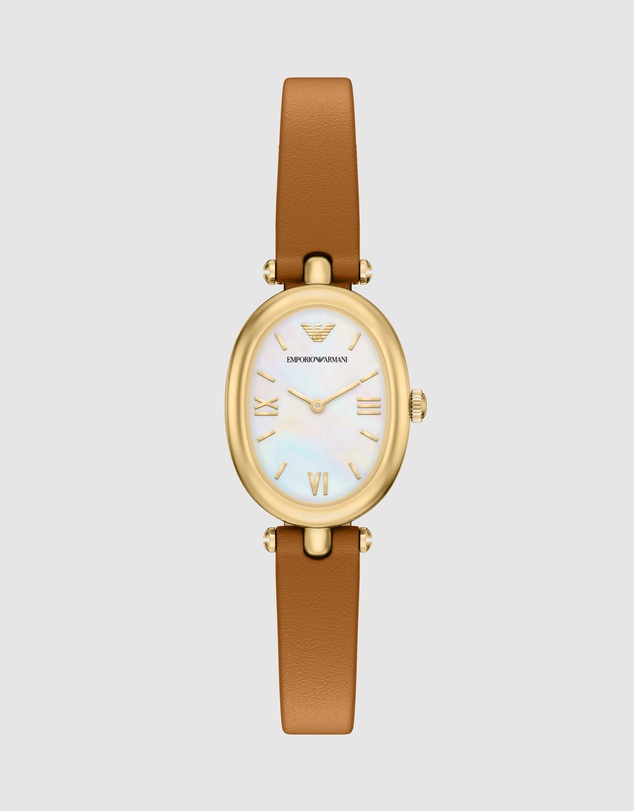Emporio Armani - Brown Analogue Watch