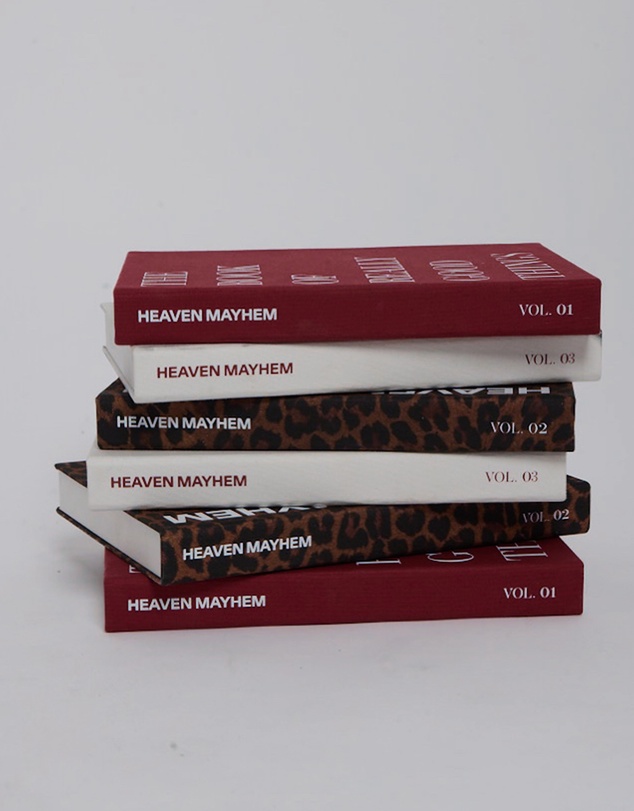 Heaven Mayhem - Book Box Vol 1