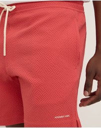 Assembly Label - Seth Swim Shorts