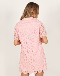 Petal & Pup - Tallie Button Up Mini Dress - Pink