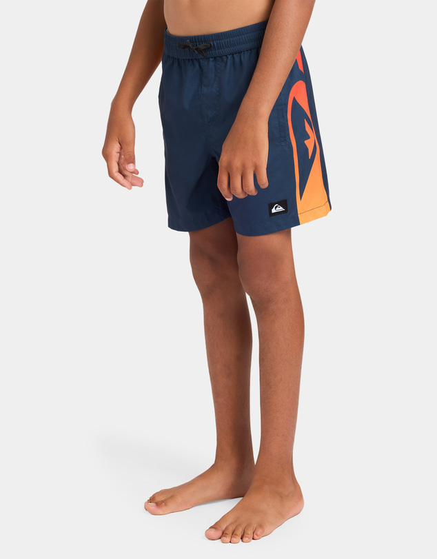 Quiksilver - Boys 8 to 16 Everyday Holmes 14