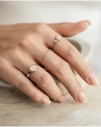 Luna Rae - Solid Gold - Rhia Diamond Signet Ring