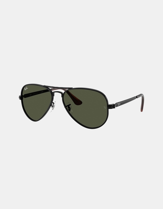 Ray-Ban - Aviator Max