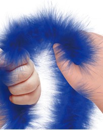 Avenir - Avenir - Crazy Fuzzy - Noble Horse