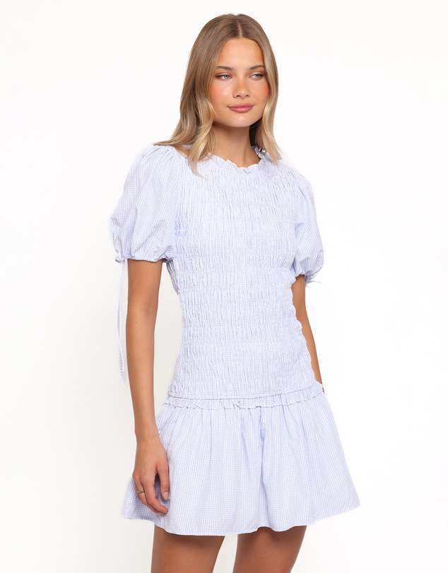 Petal & Pup - Kaelyn Gather Mini Dress - Blue Gingham