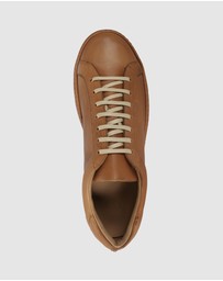 Brando - Caleb Sneakers