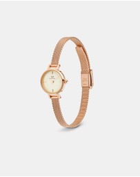 Daniel Wellington - Petite Mini 19mm Melrose Champagne