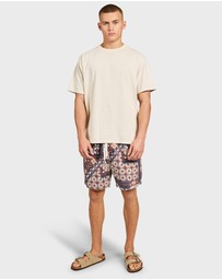 Academy Brand - Willis Short